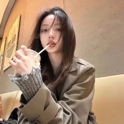 飞贼白菊花